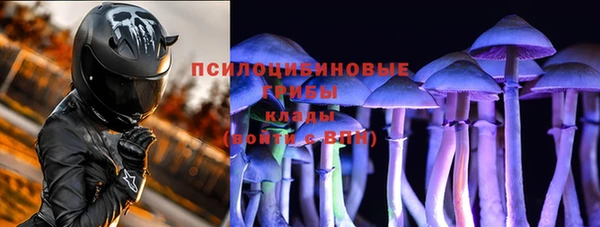 тгк Няндома