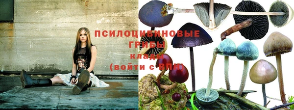гашик Нязепетровск