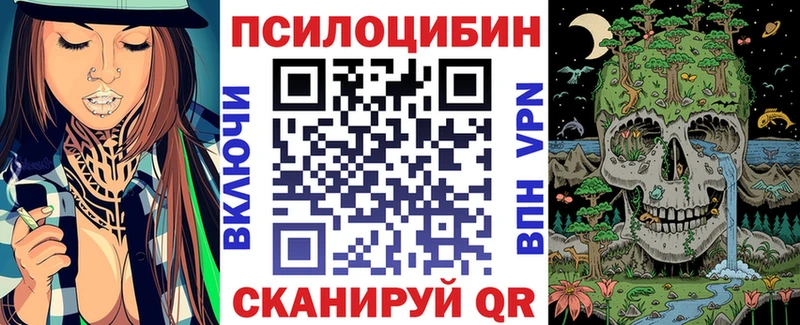 Купить  Жиздра  Псилоцибиновые грибы прущие грибы 